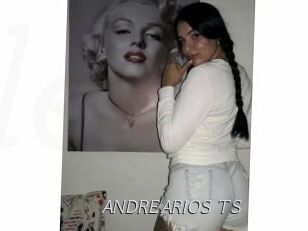 ANDREARIOS_TS