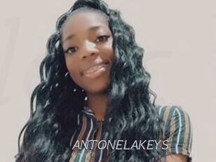 ANTONELAKEYS