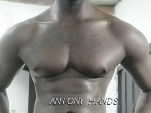 ANTONY_HANDS
