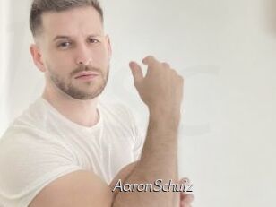 AaronSchulz