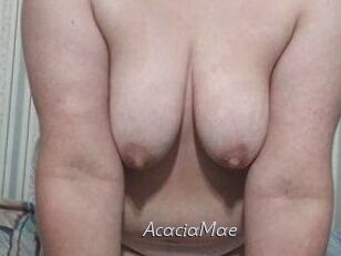 AcaciaMae