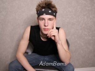 AdamBarns