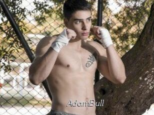 AdamBull