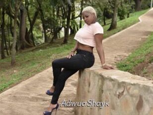 AdwuaShayk