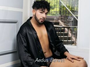 Aedus_Berwin