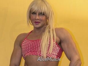 AliceMuscle