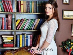 AmazingNSoft