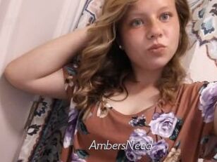 AmbersNeed