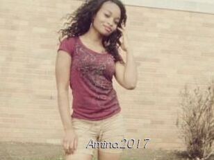 Amina2017