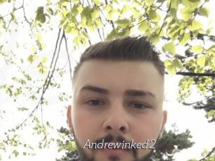 Andrewinked2