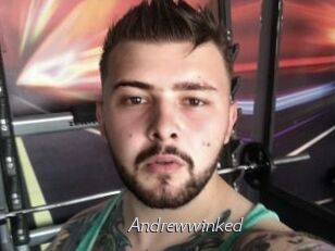 Andrewwinked