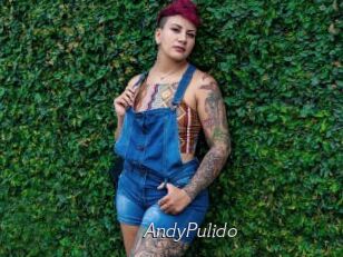 AndyPulido