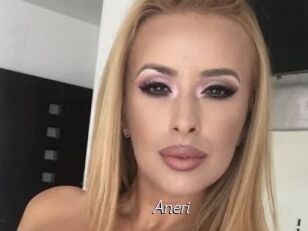 Aneri