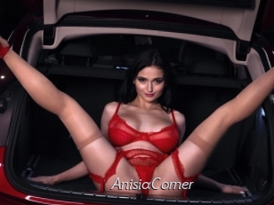 AnisiaCorner