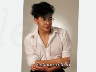Antinoo_ditella