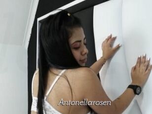 Antonellarosen