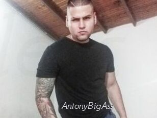 AntonyBigAss