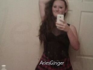 AriesGinger