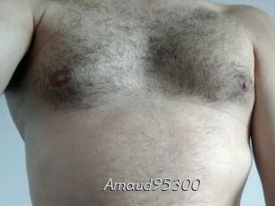 Arnaud95300