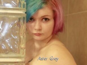 Aster_Grey