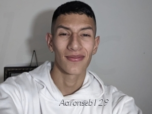 Aaronseb129