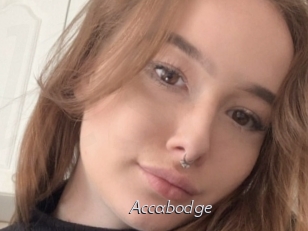 Accabodge