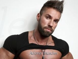 Adonis_muscles