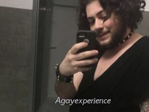 Agayexperience