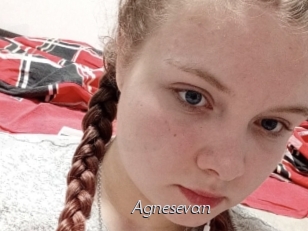 Agnesevan