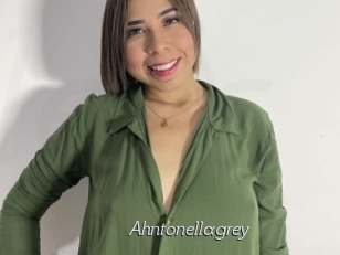 Ahntonellagrey
