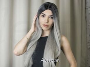Alicequin
