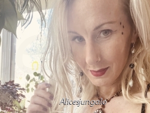 Alicesjungalo