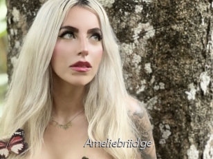 Ameliebriidge
