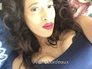 Aminabordeaux