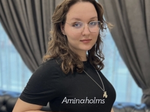 Aminaholms