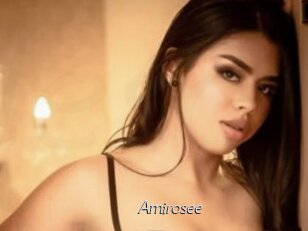 Amirosee