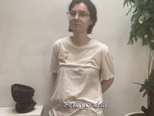 Amitygodsil