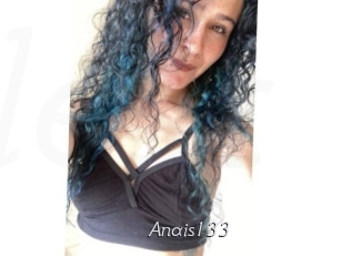 Anais133