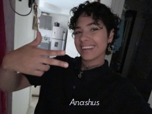 Anashus