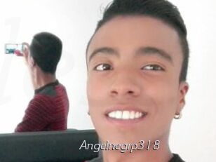 Angelnegrp318