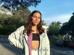 Aniefelix