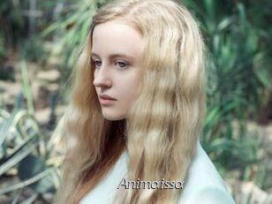 Animaissa