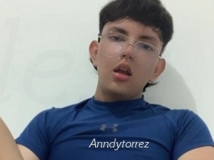Anndytorrez