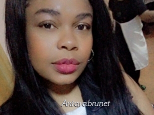 Antarabrunet
