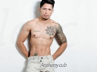 Anthonycub