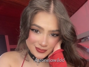 Antonelawildd