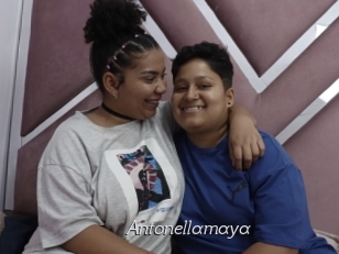 Antonellamaya