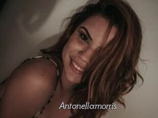 Antonellamorris
