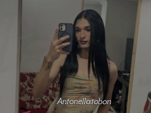 Antonellatobon