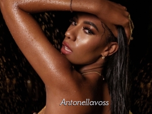 antonellavoss Le Scandale